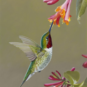 300x300 Bird Paintings Camille Engel - Bird Painting