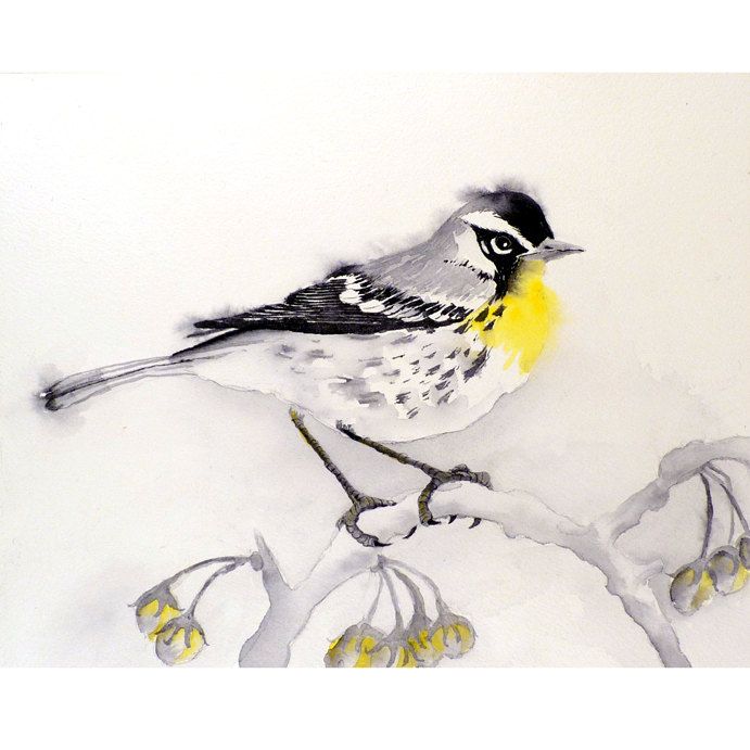 691x691 Bird Art Art Painting Watercolor Print Men Women Kids By Laberge - Bird Painting For Kids