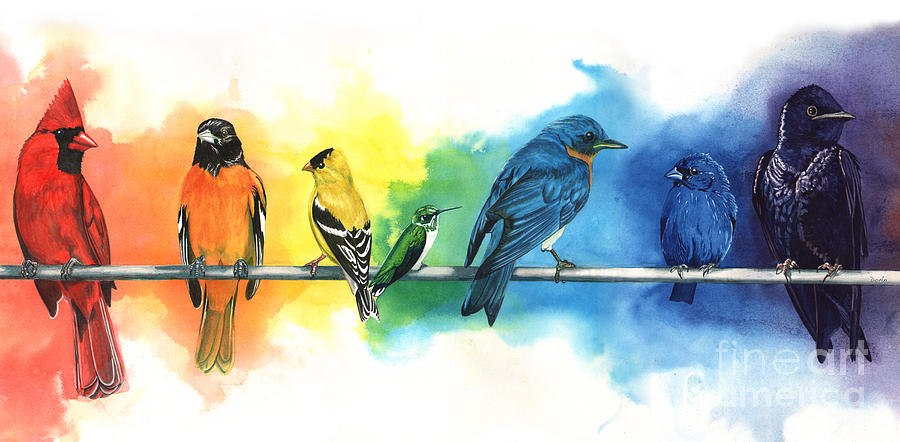 900x442 Rainbow Birds Painting By Do'An Prajna - Bird Painting Images