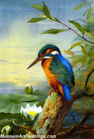 372x550 Wild Bird Painting - Bird Painting Images