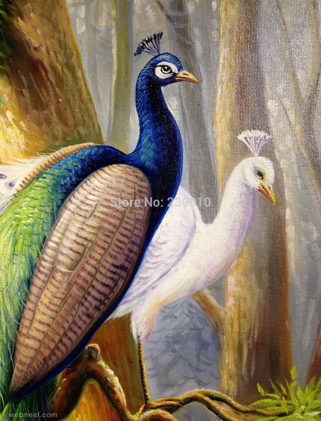 660x865 Bird Painting By Peacock 23 - Bird Painting Images