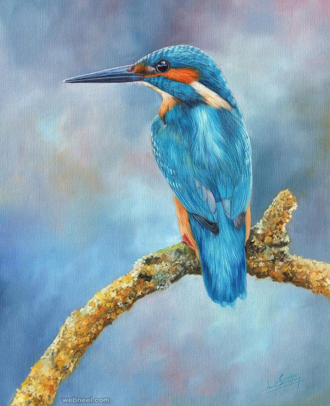 660x810 Bird Painting Bykingfisher David Stribbling 9 - Bird Painting Images