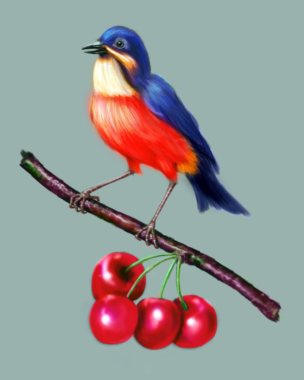 1024x1279 Bird Painting By Cvbtruong - Bird Painting Images