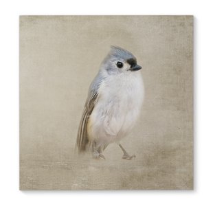 310x310 Bird Canvas Wall Art You'Ll Love Wayfair - Bird Painting On Canvas