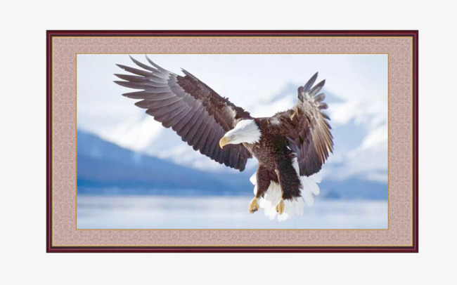 650x406 Dapeng Wings Bird Decoration Painting, Painting, Living Room - Bird Wing Painting