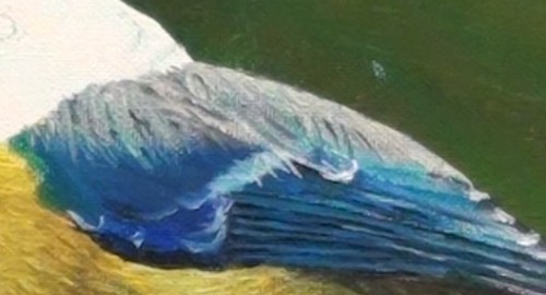 500x270 How To Paint Birds In Oil - Bird Wing Painting