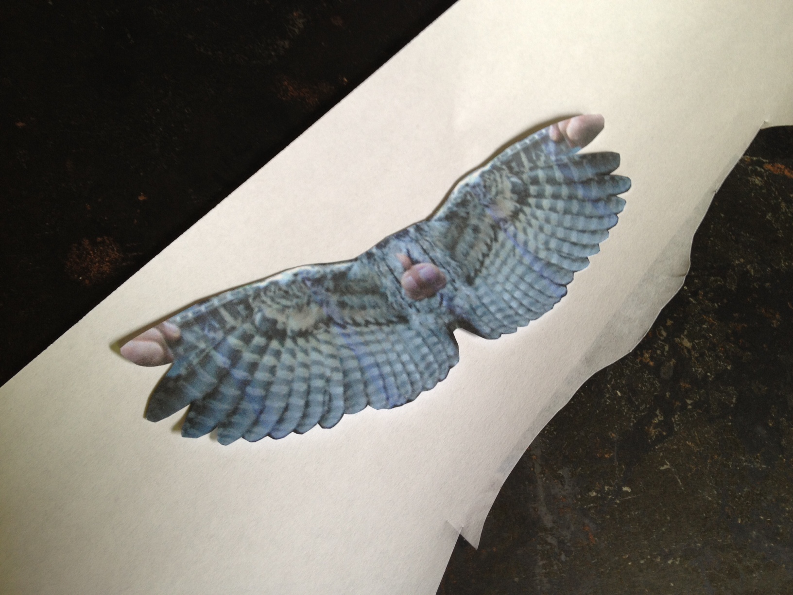 1632x1224 How To Sculpt Bird Wings Little Green Monsters Xenite'S - Bird Wing Painting