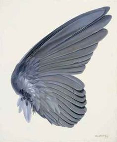 236x286 This Painting Of A Bird's Wing Was Created By Albrecht Durer. I - Bird Wing Painting