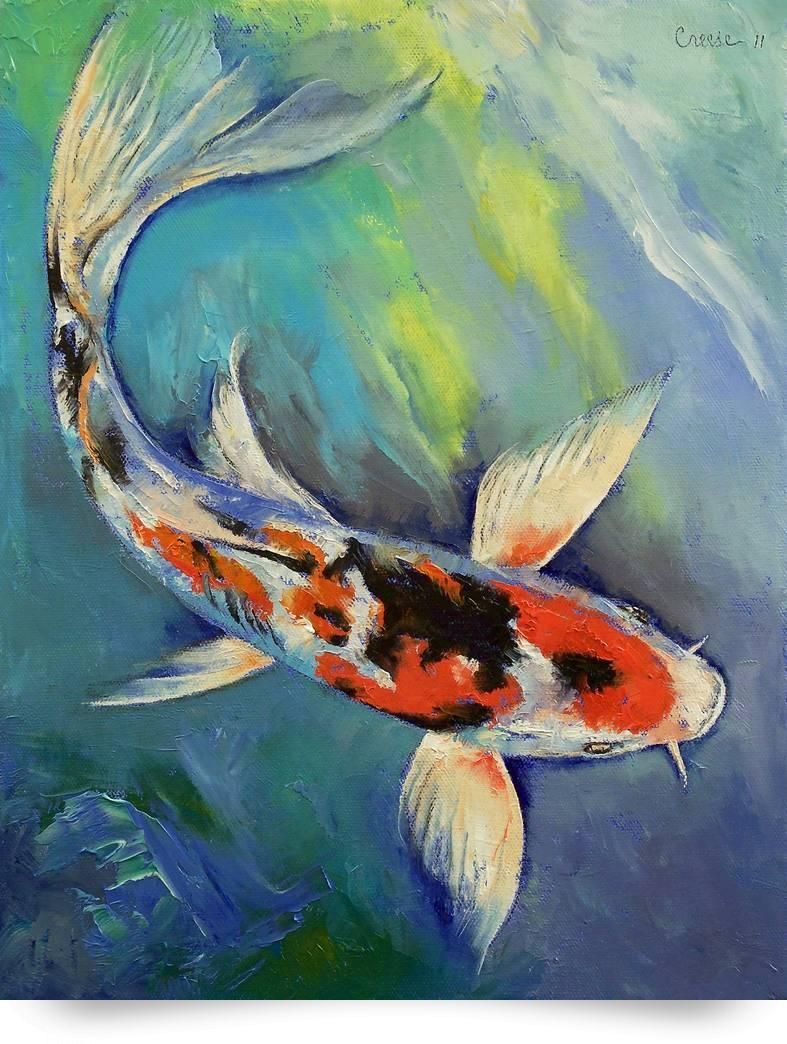 787x1044 Fish Painting Birds Eye View - Birds Eye Painting