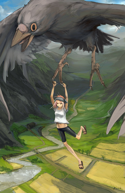 504x777 Bird's Eye View By Ewalabak - Birds Eye Painting