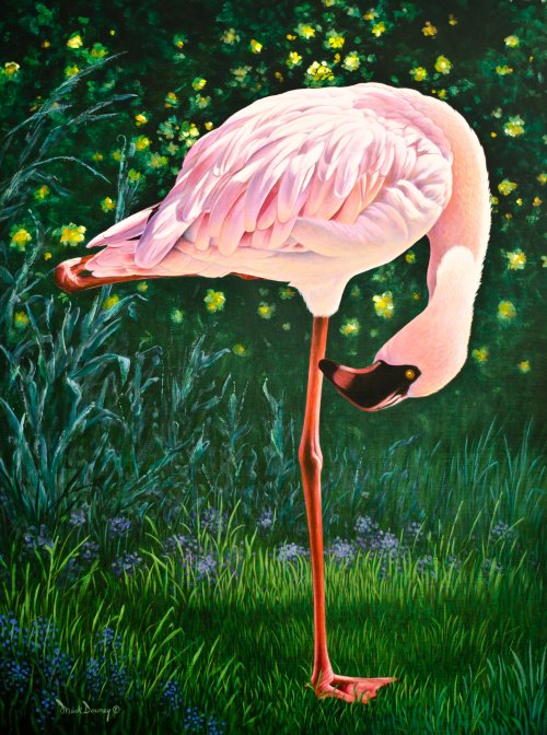 500x672 Birds Eye View Oil Painting Of A Pink Flamingo Mark Downey - Birds Eye View Painting