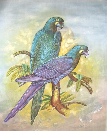 406x500 Birds Paintings - Birds For Painting