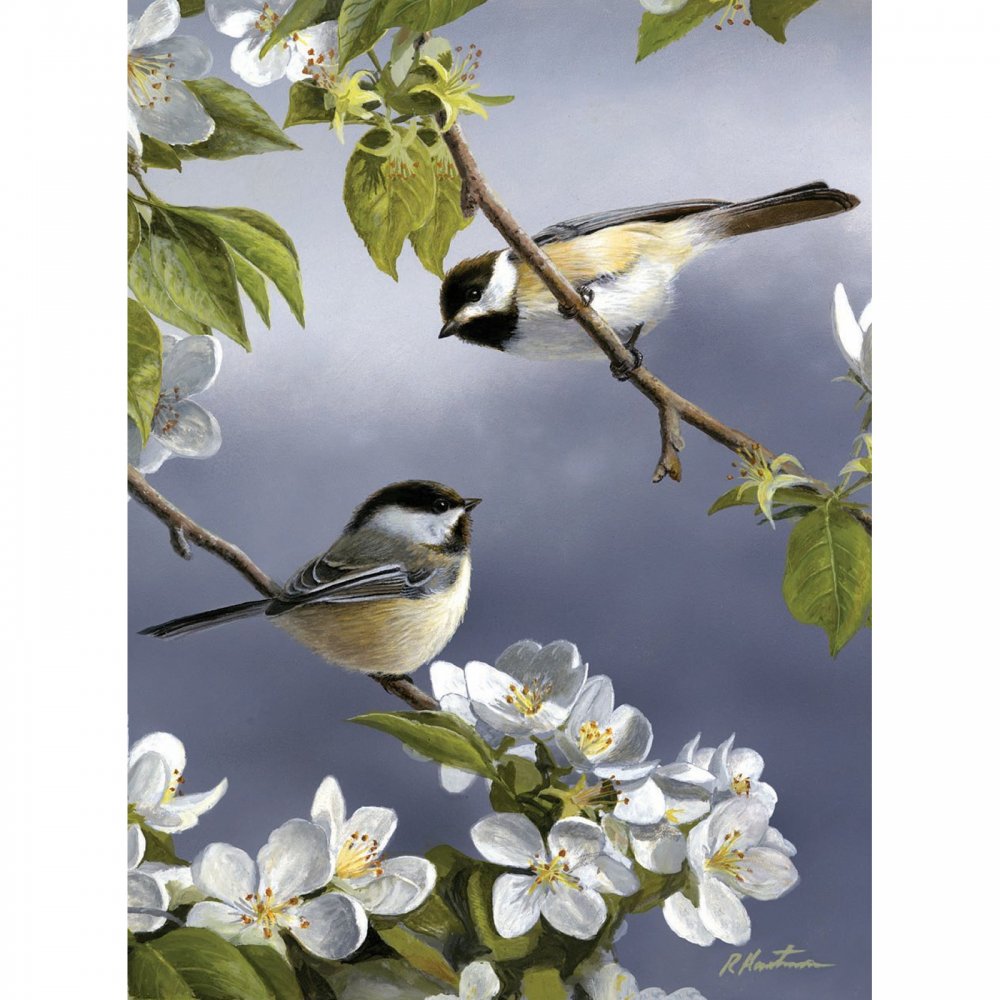 1000x1000 Birds The Artists Collection Painting By Numbers - Birds For Painting