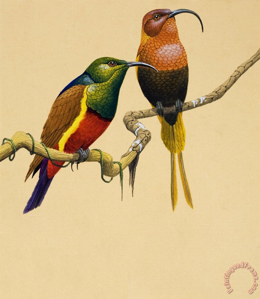 836x960 English School Sun Birds Painting - Birds For Painting