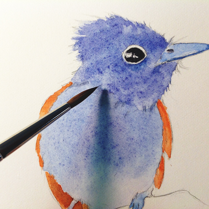 710x710 How To Paint A Bird 3 Step Tutorial - Birds For Painting