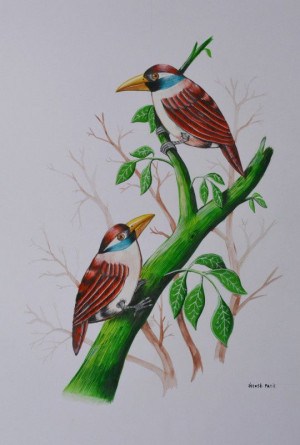 300x445 Paintings - Birds For Painting