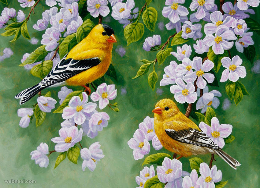 850x617 50 Beautiful Bird Paintings And Art Works For Your Inspiration - Birds For Painting