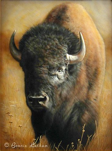 366x495 Bison - Bison Painting