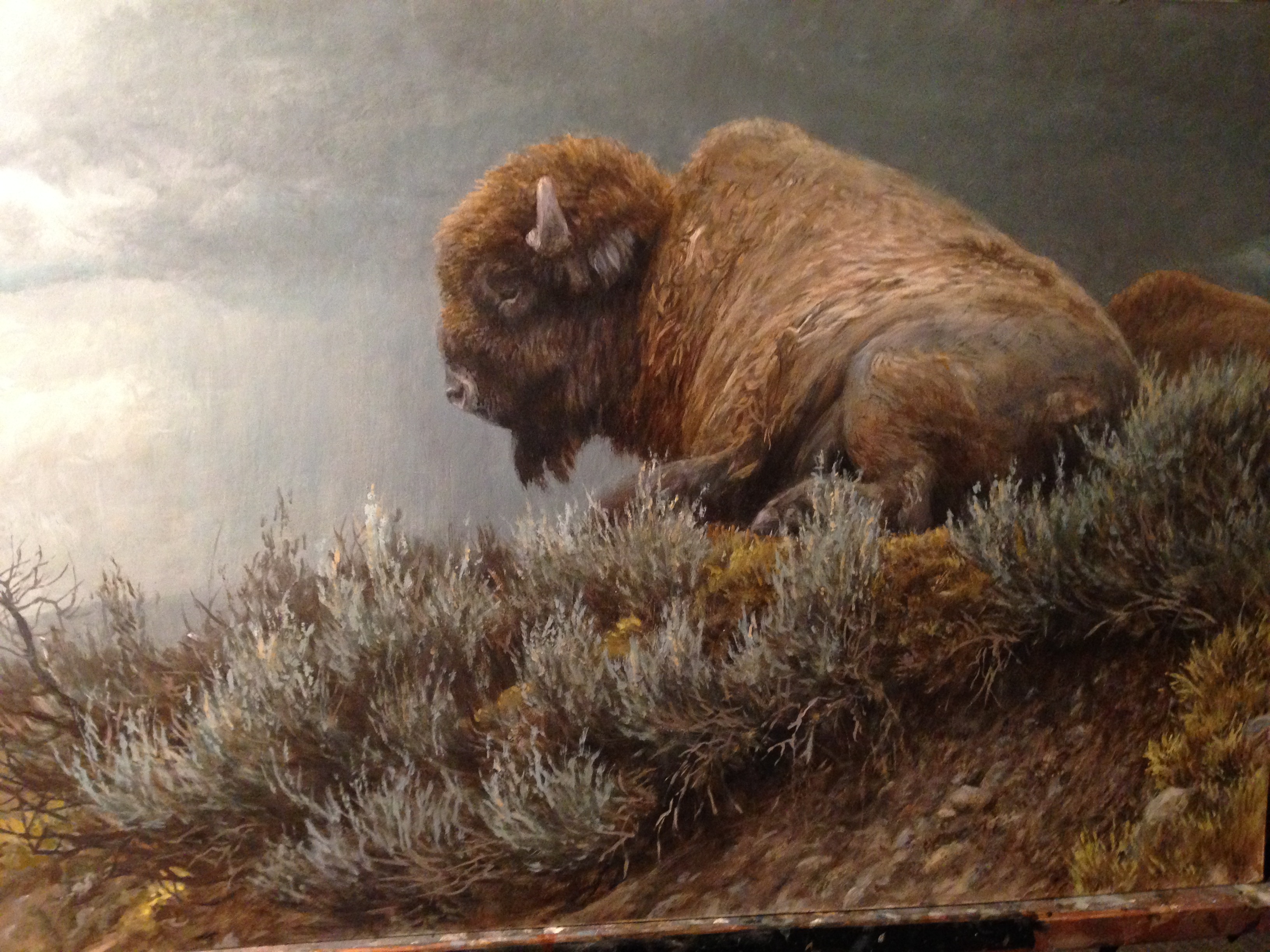 Bison Painting at PaintingValley.com | Explore collection of Bison Painting