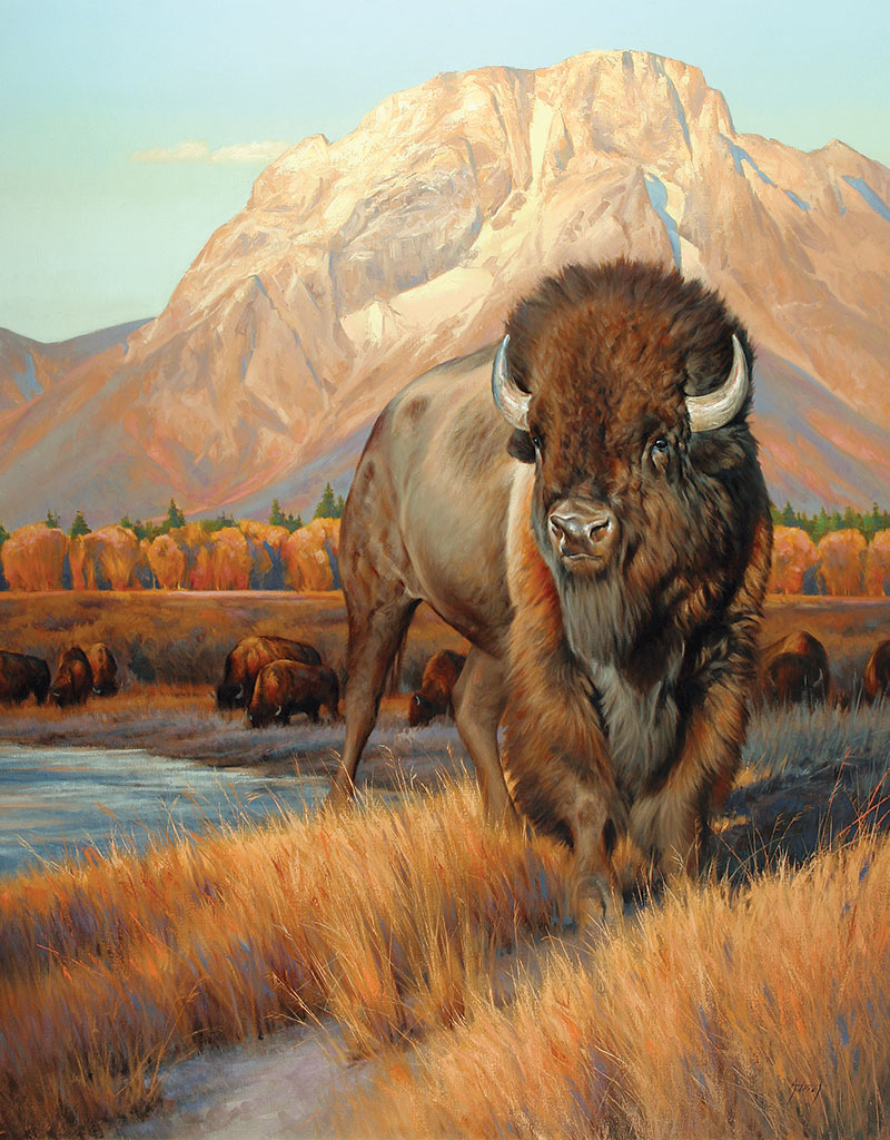800x1024 Hello, Bison Images West Magazine - Bison Painting