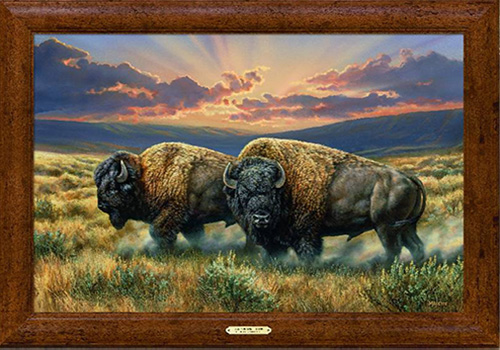 500x350 Rosemary Millette Plains Framed American Bison Tribute - Bison Painting