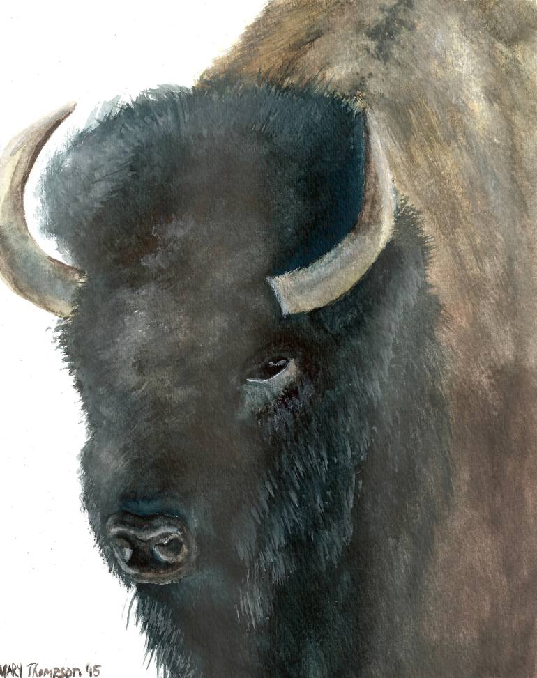 770x973 Saatchi Art American Bison Painting By Mary Thompson - Bison Painting