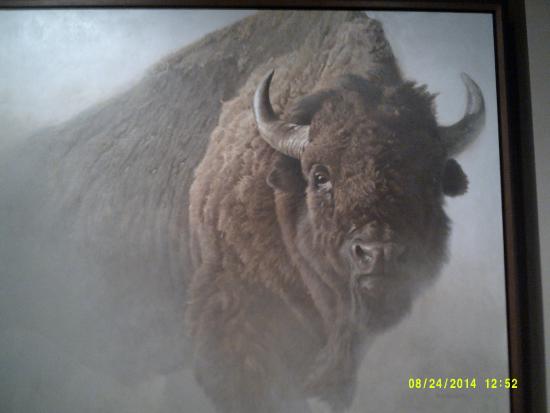 550x413 Very Famous Painting Of A Bison - Bison Painting