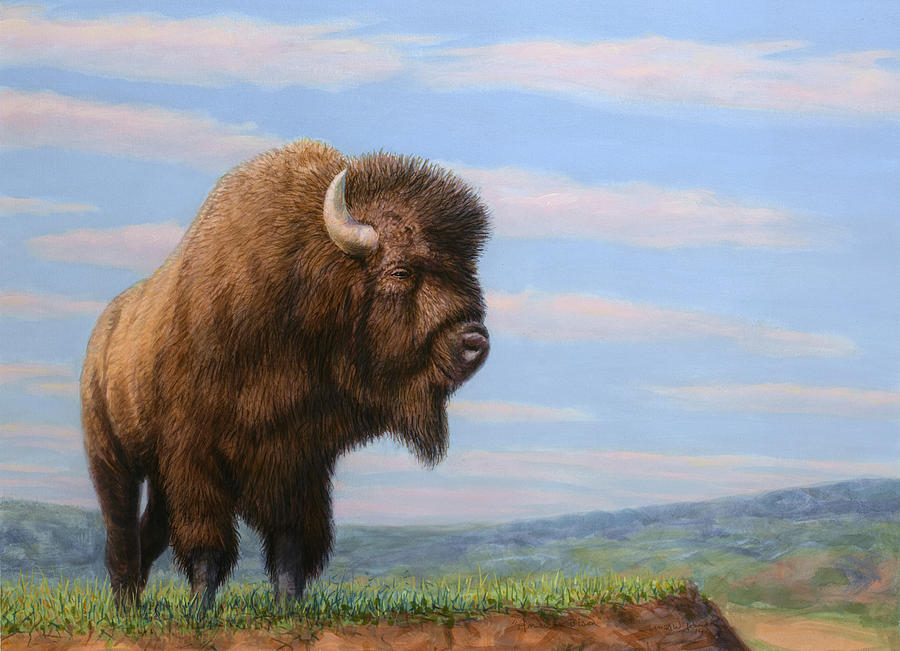 900x651 American Bison Painting By James W Johnson - Bison Painting