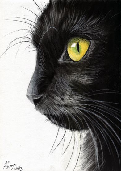 392x555 Black Cat Portrait Charcoal Drawing Did You Steal My Cat, Killer - Black And White Cat Painting