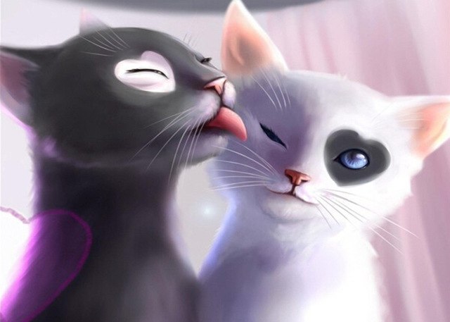 640x457 Black White Cat Diamond Painting 5d Cross Stitch Embroidery Diy - Black And White Cat Painting