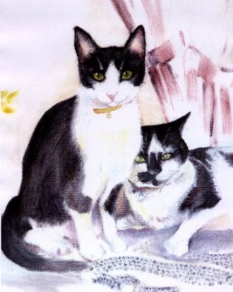 330x412 Cute Black And White Cats - Black And White Cat Painting