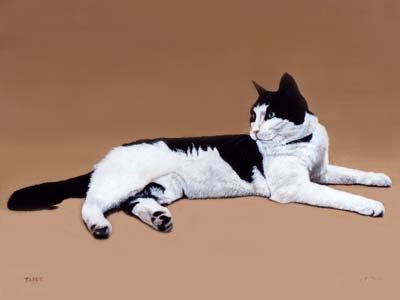 400x300 Pet Portraits Black And White Cat In Oils By Isabel Clark - Black And White Cat Painting