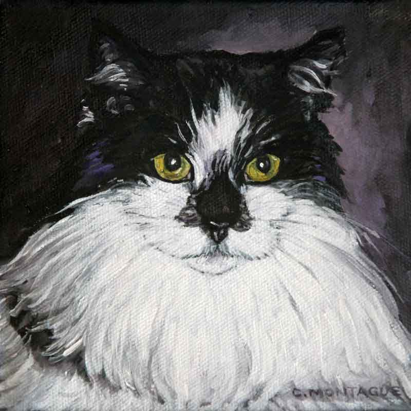 800x800 Cat Painting Canvas And Camera - Black And White Cat Painting