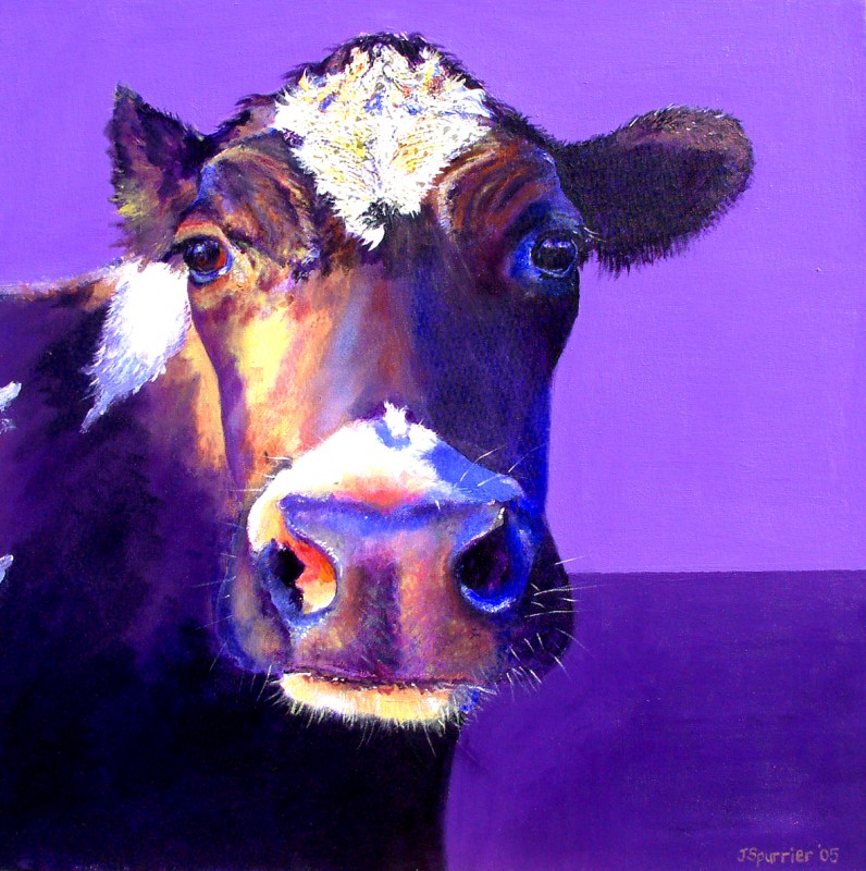 796x800 Cow Painting Of Iris The Black And White Cow - Black And White Cow Painting