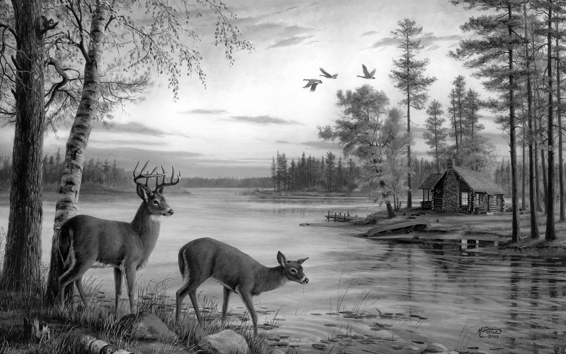1920x1200 Black And White Nature Paintings Painting Deer Nature River Birch - Black And White Deer Painting