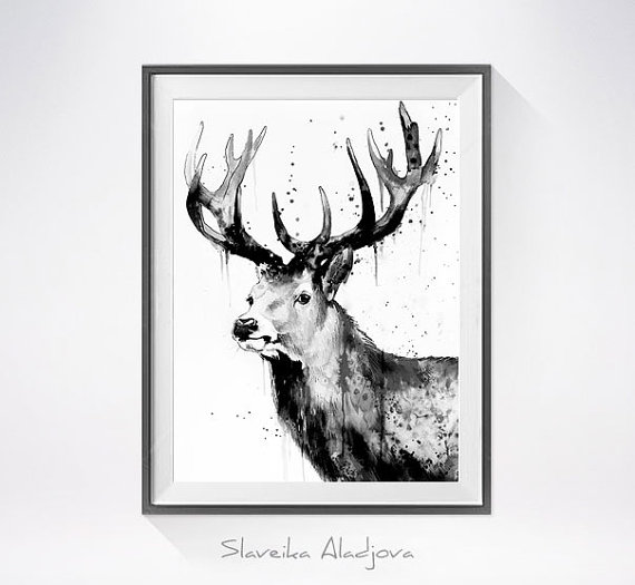 570x525 Deer Black And White Watercolor Painting Print - Black And White Deer Painting