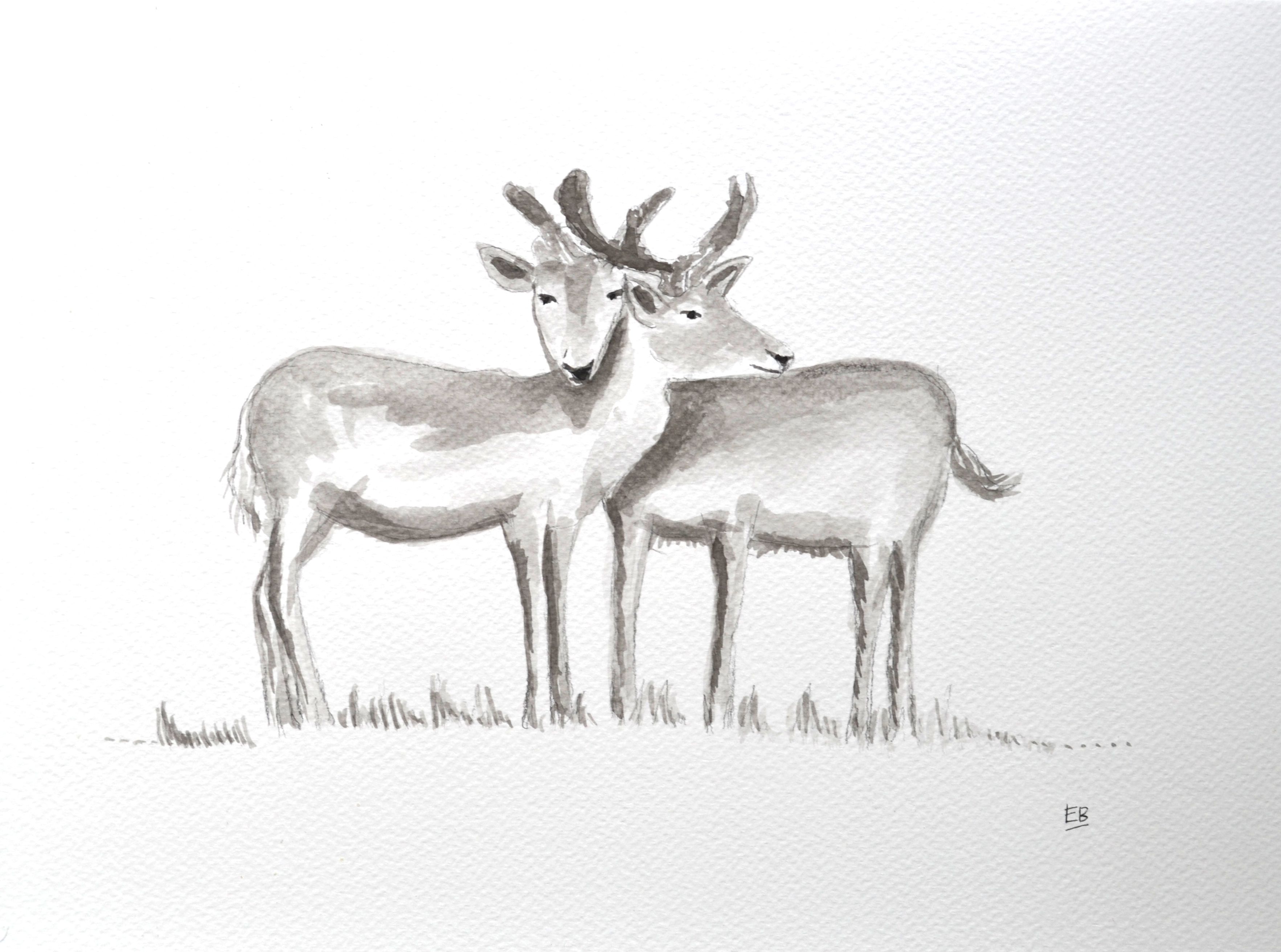 3530x2625 Irish Deer Painting Wishlist Art - Black And White Deer Painting