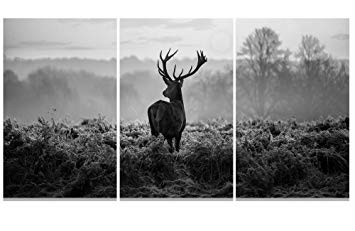 355x231 Capenguin Black And White Deer Wall Decor Giclee Art - Black And White Deer Painting