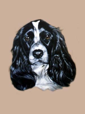 300x400 Dog Portraits - Black And White Dog Painting