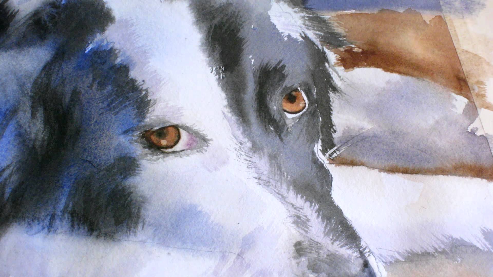 1920x1080 13th Black And White Dog Watercolor Painting Tutorial - Black And White Dog Painting