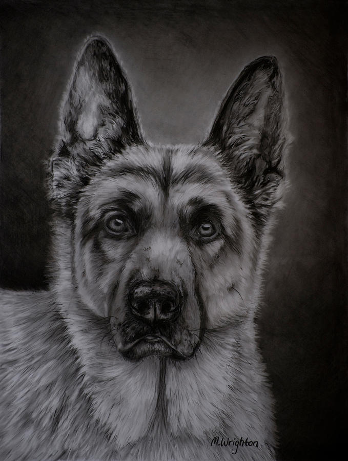 679x900 Noble - Black And White Dog Painting
