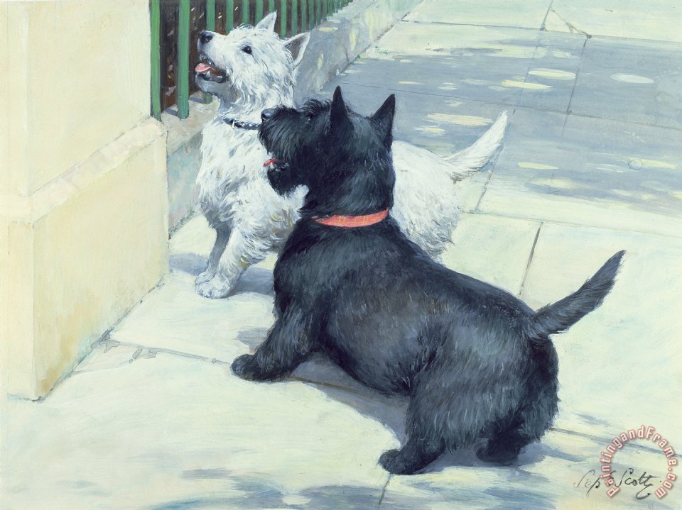 960x719 Septimus Edwin Scott Black And White Dogs Painting - Black And White Dog Painting