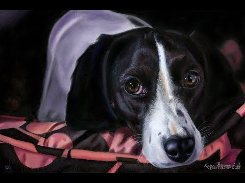 480x360 Speed Painting Of A Black And White Dog Oil Painting - Black And White Dog Painting
