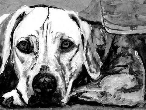 480x362 Weimaraner Weim, Grey Ghost Dog Painting Wall Art Print Black - Black And White Dog Painting