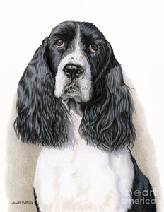 232x300 Black And White Dog Paintings Fine Art America - Black And White Dog Painting