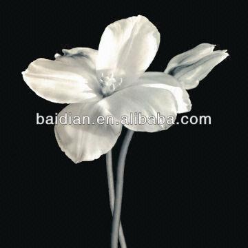 360x360 Fassion Europe Amp American Black Amp White Home Wall Decoration - Black And White Flower Painting