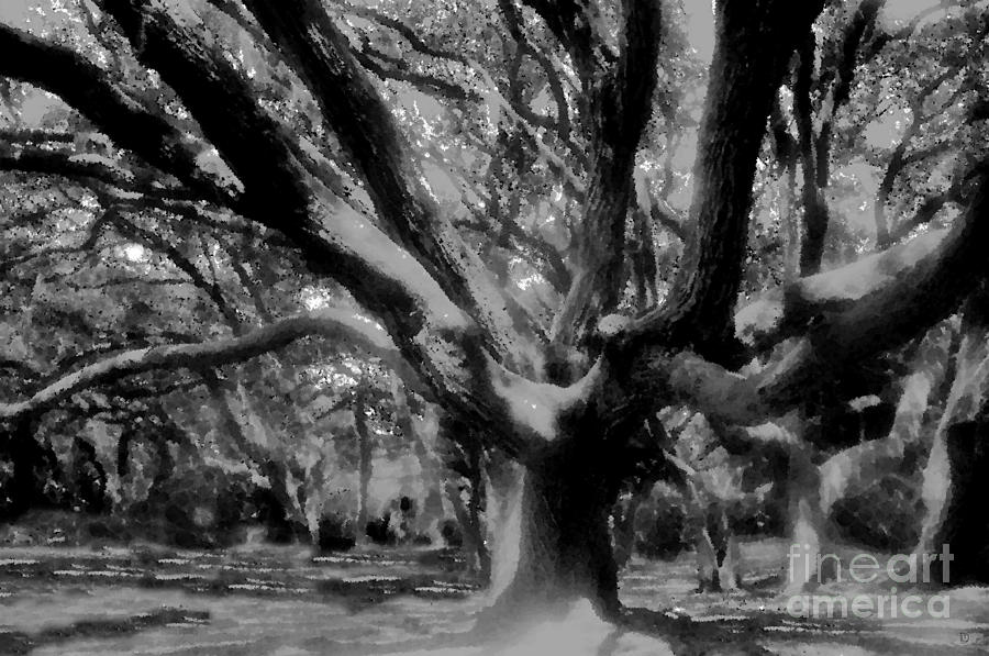 900x597 Black Forest Painting By David Lee Thompson - Black And White Forest Painting