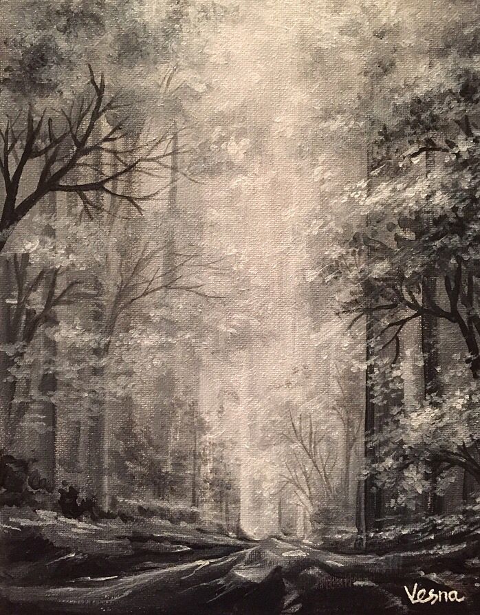 698x894 Black Amp White Forest Light - Black And White Forest Painting