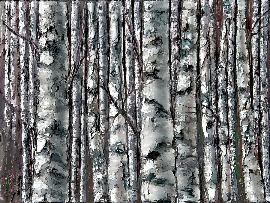 900x675 Enchanted Forest Black And White Painting By Lena Owens Olena Art - Black And White Forest Painting