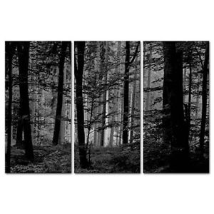 300x300 Black And White Forest Canvas Prints Wall Art Paintings Natural - Black And White Forest Painting
